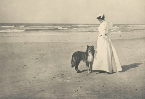 On the Beach, Woman with a dog on the beach, page, photomechanical print, photographer: William D.