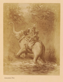 Le Ravin, Photo reproduction of Le Ravin by Jean Baptiste Robie, photograph, reproduction, page,