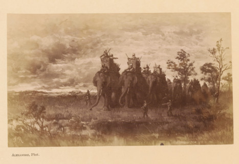L'Incendie de la Jungle, Photo reproduction of L'Incendie de la Jungle by Jean Baptiste Robie,