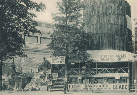 View of a tree trunk at the Antwerp World Exhibition in 1894, Arbre de Californie, Exposition