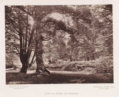 In the forest near Windsor, Dans la Forêt de Windsor, page, photomechanical print, photographer: RE