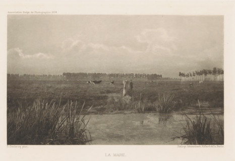La mare, Cows in the meadow, page, photomechanical print, photographer: Désiré Declercq, cliché