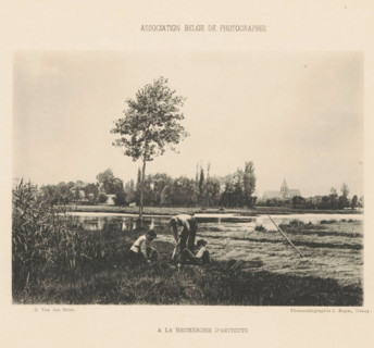 A la recherche d'asticots, Three boys look for maggots in the grass, page, photomechanical print,