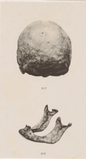 Caverne de Chauvaux, Posterior view of a skull and face on a mandible, page, photomechanical print,