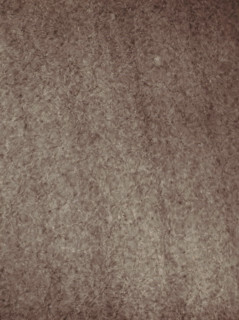 Observatoire de Meudon - études de la surface solaire (régioncentrale), Study of the solar surface,
