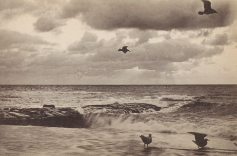 Am Nordseestrand, Abendstimmung, Seascape with seagulls, page, photomechanical print, photographer: