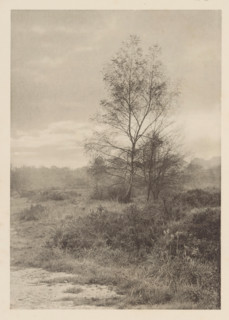 On Hampstead Heath, View of Hampstead Heath, page, photomechanical print, photographer: Karl