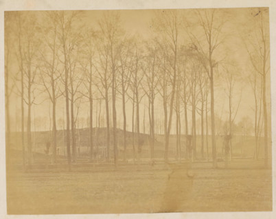 Landscape with trees, photograph, page, c. 1869 - in or before 1871, photographer, paper, albumen