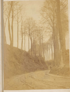 Dirt road between avenue of trees, photograph, page, c. 1869 - in or before 1871, photographer,