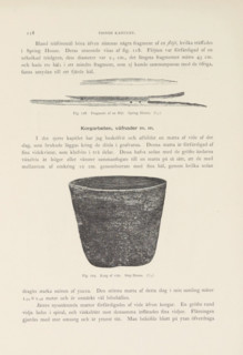 Korg af vide. Step House, Basket of willow branches found in Mesa Verde National Park, page,