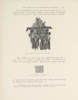 Bomullsväfnad. Ruin 9, Two fragments of cotton fabrics found in Mesa Verde National Park, page,
