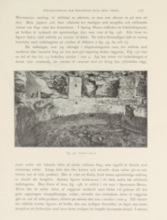 Estufa i ruin 9, View of a ruined cliff dwelling in Mesa Verde National Park, page, photomechanical