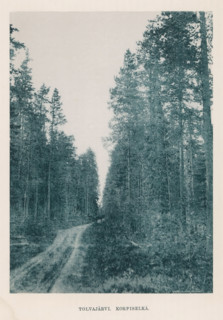Tolvajärvi. Korpiselkä., View of a path through a forest, page, photomechanical print,
