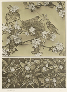 Two areas with apple blossoms, birds and vegetables, page, photomechanical print, number: '84.',