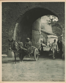 Unknown persons with horse and cart at a gate, page, photomechanical print, photographer: Donald