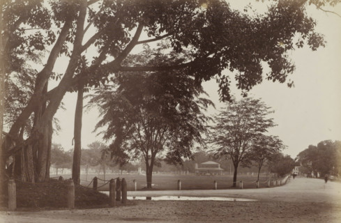 Esplanade, S.pore, Park with walkers in Singapore, album page, photograph, Part of Album with 50