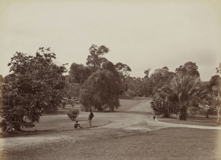 Bot. Garden, Woman and a boy in the botanical garden of (presumably) Singapore, album page,