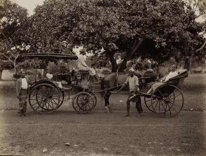 Horse and carriage and rickshaw, possibly in Ceylon, album page, photograph, Part of Album with 50