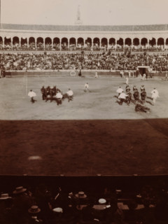 At the Bull Fight, Spain, photograph, Arena for bullfights in Valencia or Barcelona., 1905 - 1922,