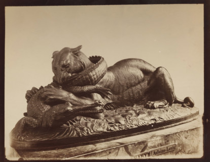 Image of a tiger devouring an alligator, by A. Barye, photograph, inscription: 'XI pl 9', c. 1875 -