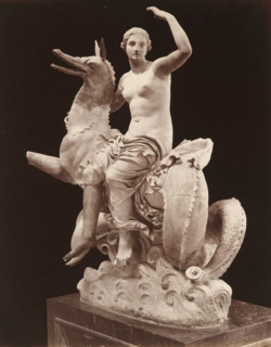 Museo di Napoli, Sculptur Nereide su pistrice, album page, photograph, This photo is part of an