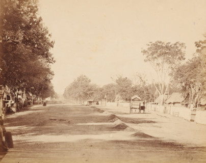 Street, Dutch East Indies ?, photograph, View of an unpaved road with a donkey cart, a series of