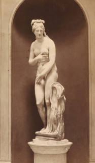 Capitoline Venus, photograph, photographer: Libreria Spithöver, c. 1850 - c. 1870, pasteboard,