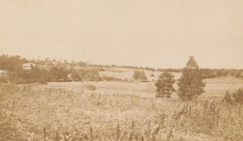 West Roxbury Park, photograph, page, photographer: Allen & Rowell, Boston (Massachusetts), c. 1878