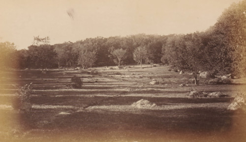 West Roxbury Park, photograph, page, photographer: Allen & Rowell, Boston (Massachusetts), c. 1878