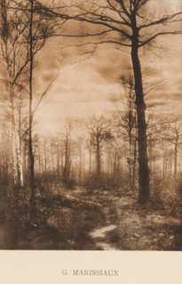 Landscape with trees, Sentiment d'Art en Photographie, photomechanical print, This print is part of
