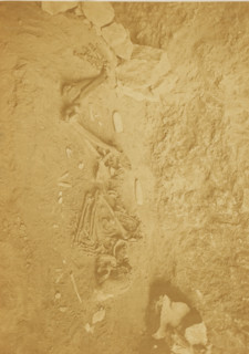 Human skeleton in the caves of Baoussé-Roussé, photograph, page, photographer: Anfossi & Radiguet,