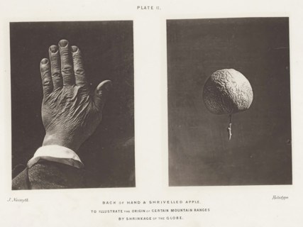 Back of Hand & Shrivelled Apple. To illustrate the origin of certain mountain ranges by shrinkage