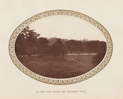 View of Richmond Park, In the Park below the Hornbeam Walk, page, photomechanical print, Richmond