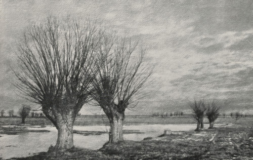 View of a number of trees by a water, page, photomechanical print, monogram: 'Leipzig, SG',