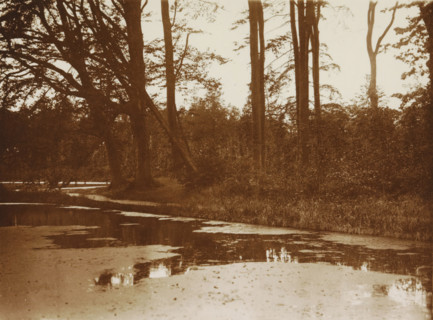 Near Voorburg, photograph, Forest view with pond., photographer: HC Wilkens (signed by artist),