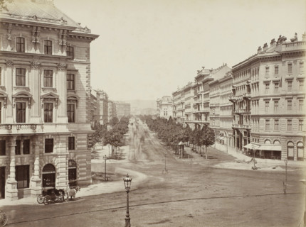 View of an Allee in Vienna, Wien, Vienna, Vienne, photograph, title, number: '20', signature,