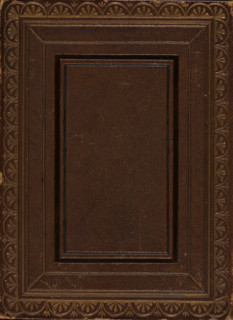 Yak, album page, photograph, Long-haired yak. Photo on an album page in an album with 68 photos,