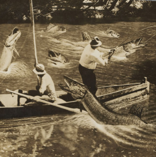 Photomontage of 3 men fishing in a boat among giant fish, picture postcard, inscription: 'Great