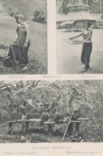 Batakk women (top), Rice pounding Batakk women (bottom), Two portraits of Batak girls (top) and