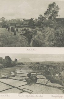 View of the Batak village Rakoet Bessi (above) and landscape with rice fields and volcano (below)