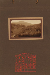 Landscape with rice fields, album page, photograph, This photo is part of an album., annotation: