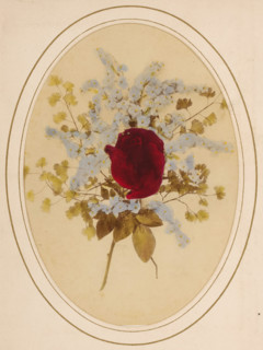 Branch with rose, album page, photograph, cabinet photograph, This photo is part of an album.,