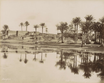 Village with palm trees by a body of water near Cairo, Caire, village arabe, photograph, Part of