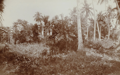 Overgrown ruin of a mosque (east side) in Gang Kali Mali in Batavia, Ruine missigit in gang Kali
