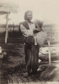 Woman with ears of grain in her hand in the Dutch East Indies, photograph, Part of Travel Album