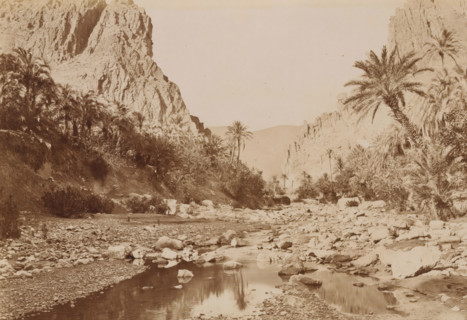 River bed with rocks and palms, El Kantara. - les Gorges, album page, photograph, This photo is