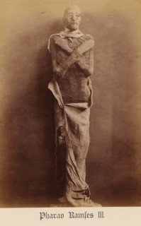 Mummy of Pharaoh Ramses III, Pharaoh Ramses III, photograph, page, inscription: 'Verlag von S.