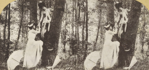 Tree Climbers, Scene with two people climbing a tree, photomechanical print, stereograph, number: