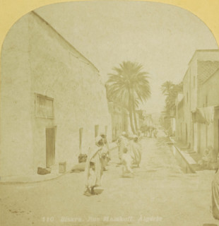 Biskra. Rue Malakoff. Algeria, Street scene in the Rue Malakoff, Biskra, stereograph, number: