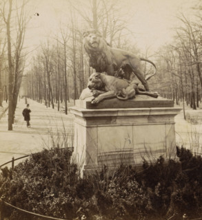 Group of lions in Tiergarten, Statue with a group of lions in Tiergarten, Berlin, stereograph,